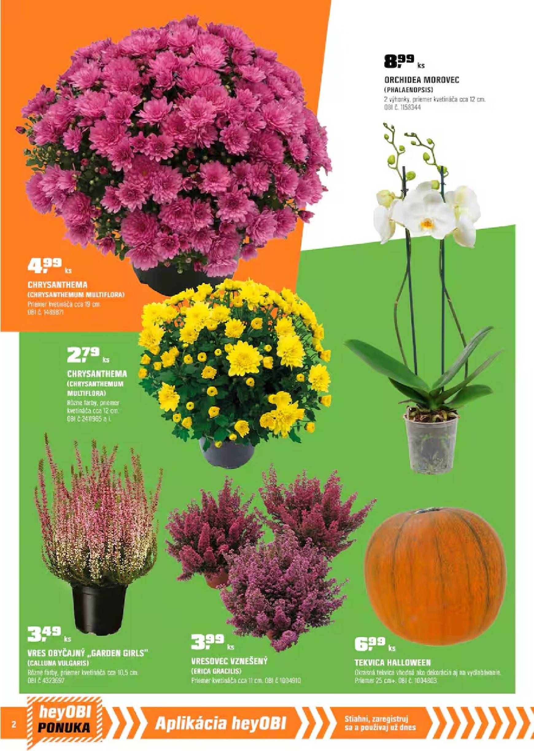 Page 2 of Aktuálny obi leták platný od štvrtka 02.10 do 31.10