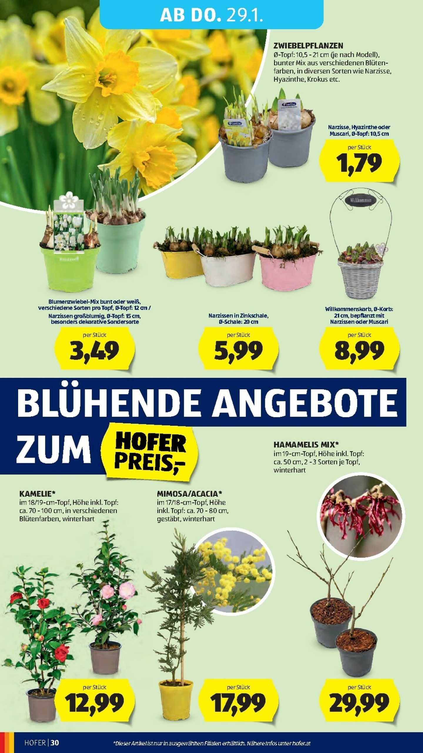 Page 34 of Aktuálny hofer-rakusko leták platný od piatka 23.01 do 29.01