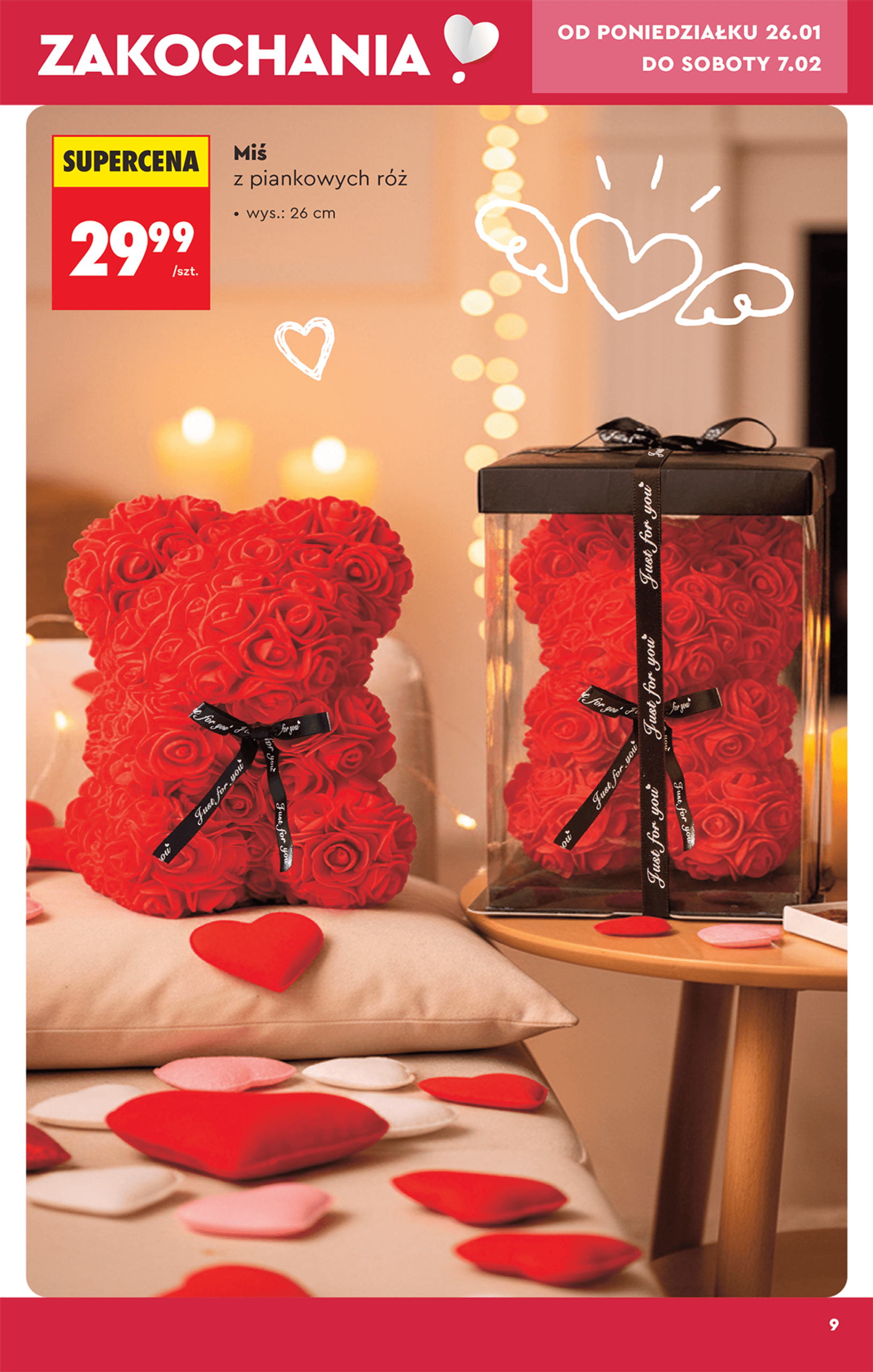 Page 11 of Aktuálny biedronka-polsko leták platný od piatka 23.01 do 28.02