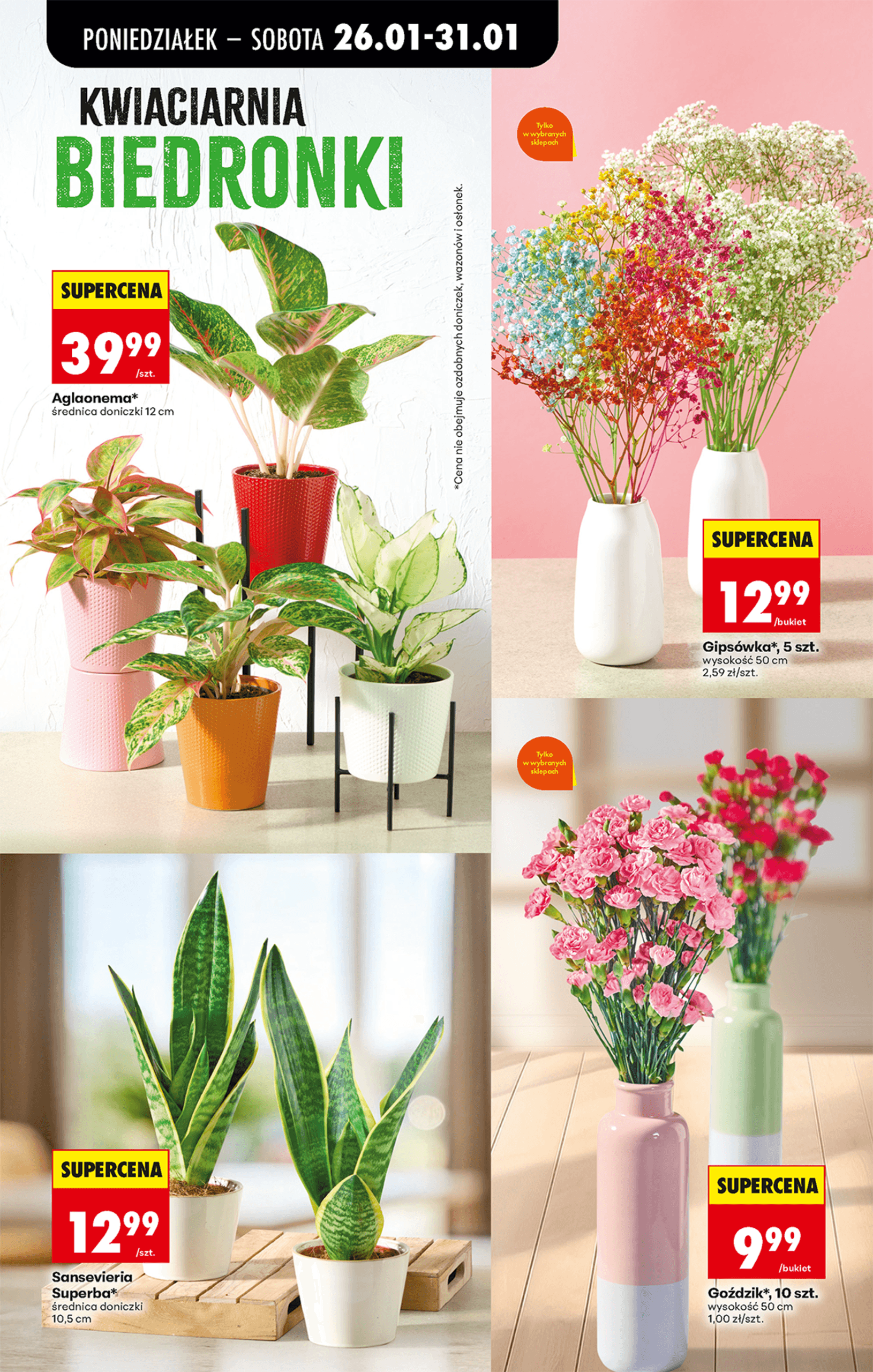 Page 26 of Aktuálny biedronka-polsko leták platný od pondelka 26.01 do 31.01