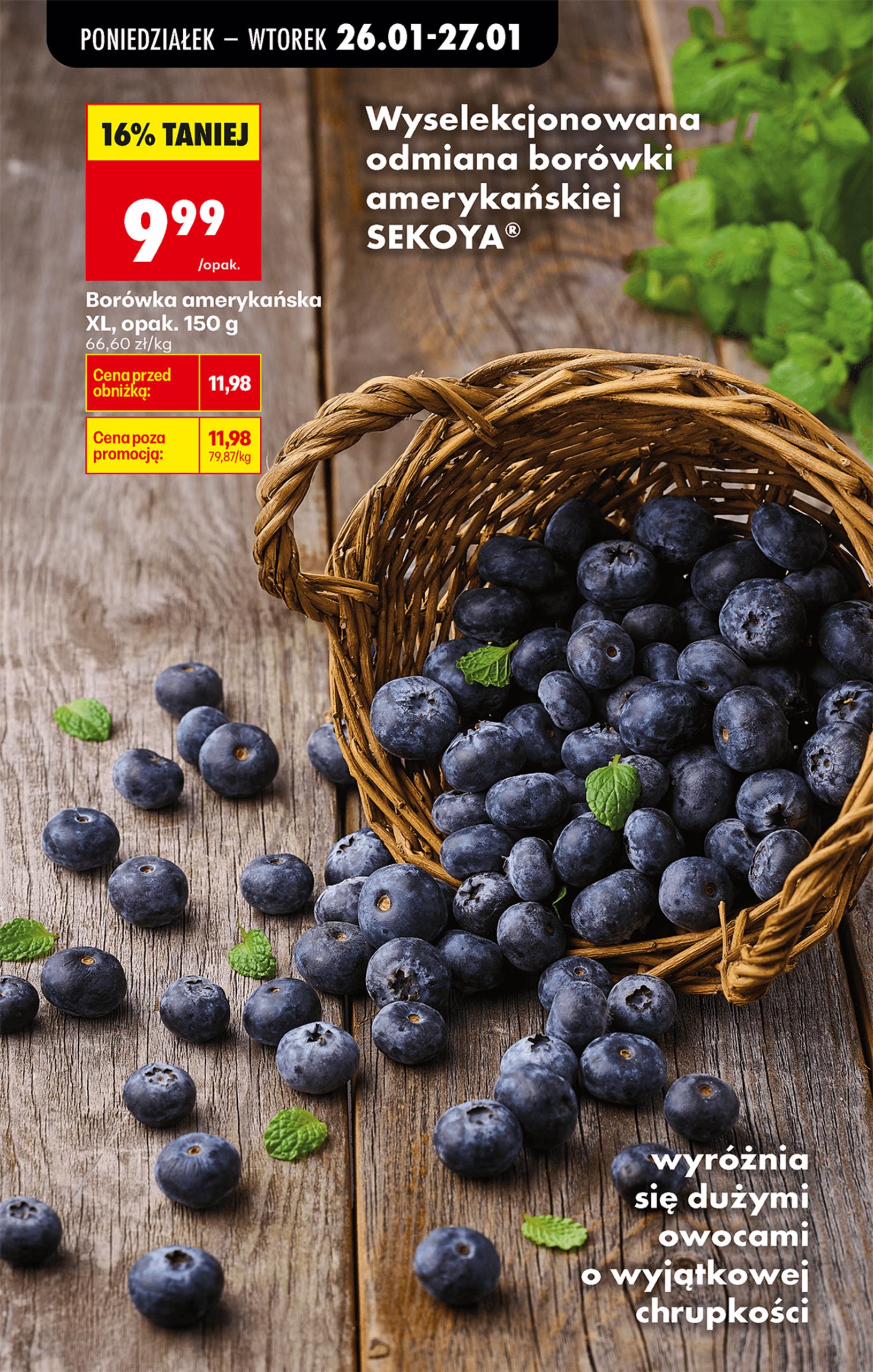 Page 19 of Aktuálny biedronka-polsko leták platný od pondelka 26.01 do 31.01