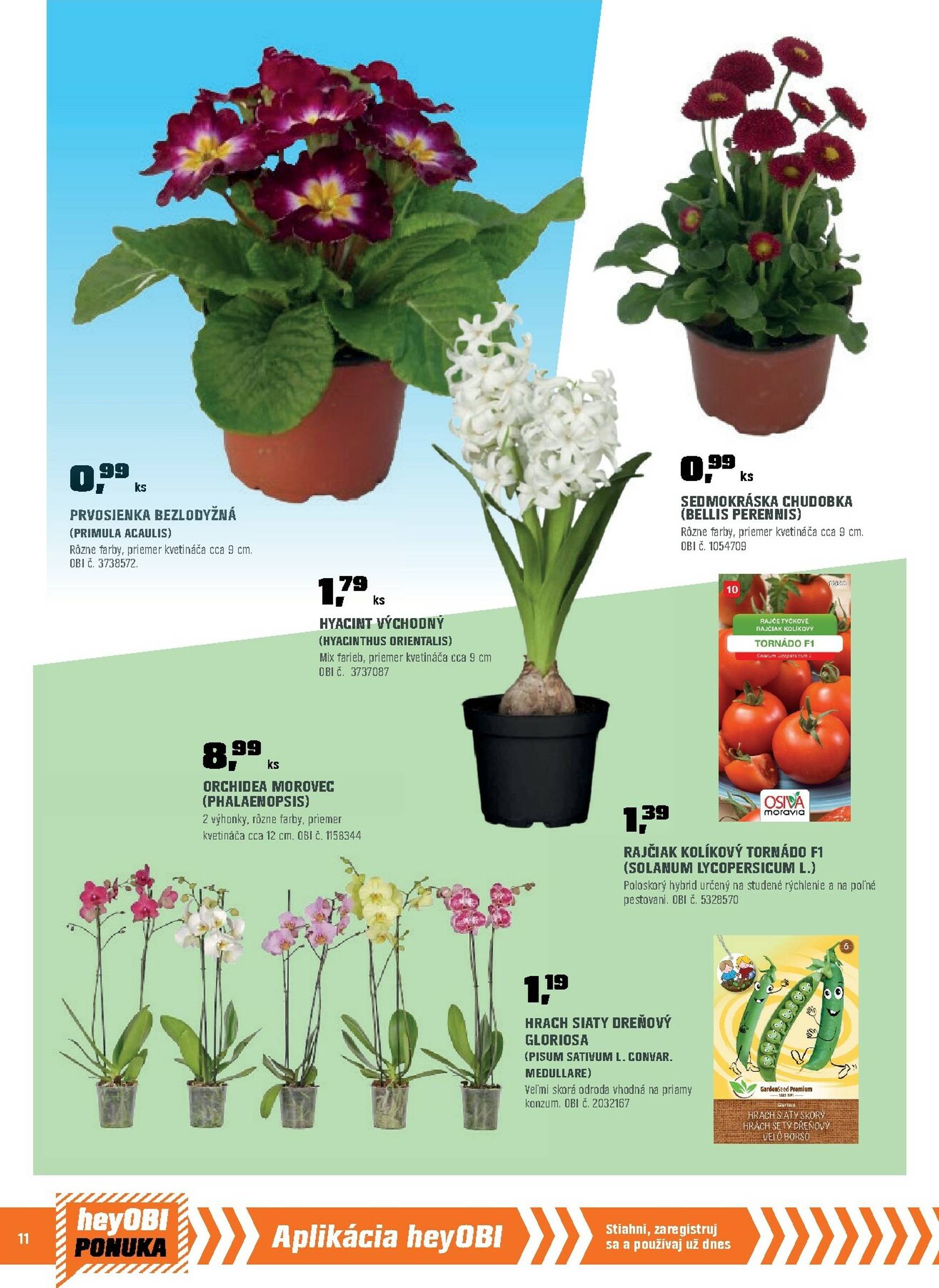 Page 12 of Aktuálny obi leták platný od nedele 01.02 do 28.02