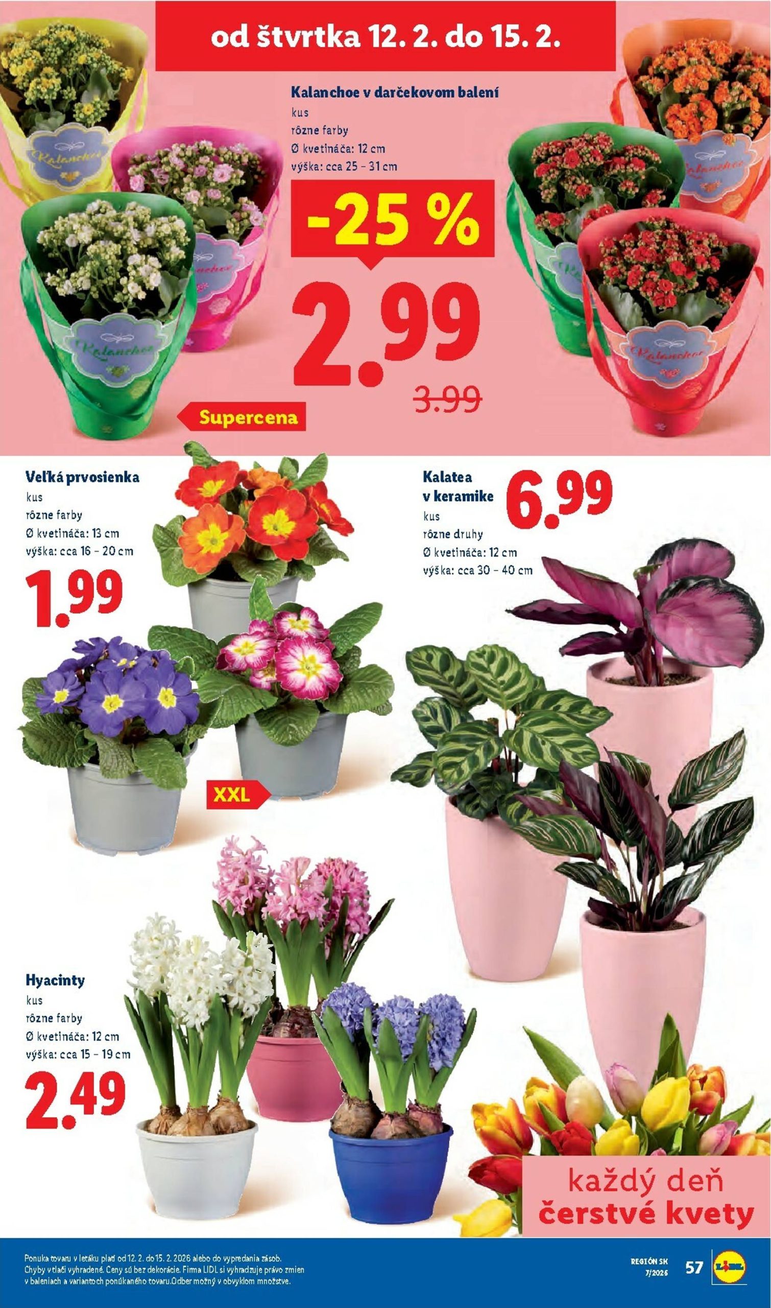 Page 62 of Aktuálny lidl leták platný od pondelka 09.02 do 15.02